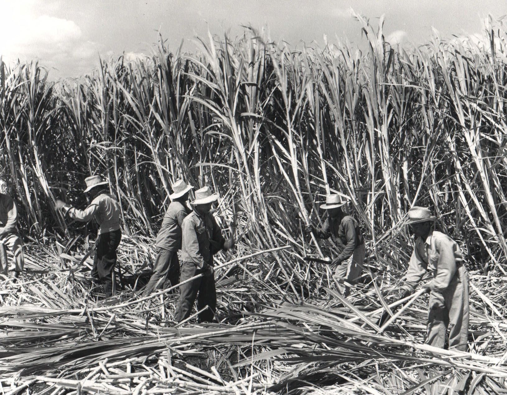 1959: Hawaii statehood
